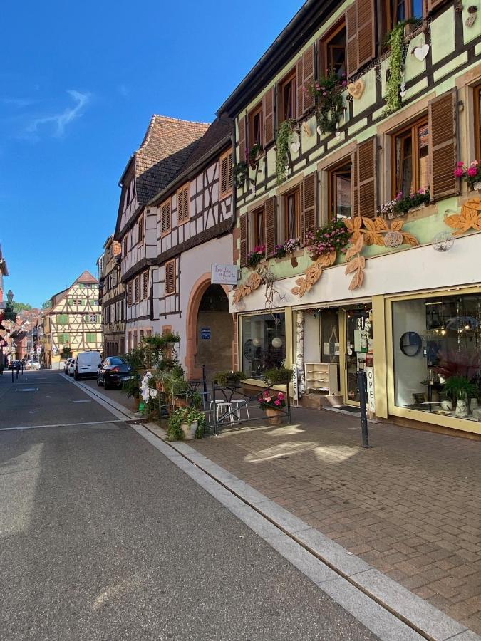 Апартаменты Tiers Lieu 59 Grand Rue Bouxwiller  Экстерьер фото